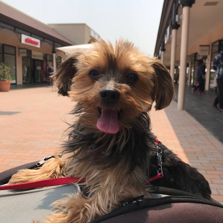 2fc9c58c 8c67 4bae a864 bf2d60989a4a