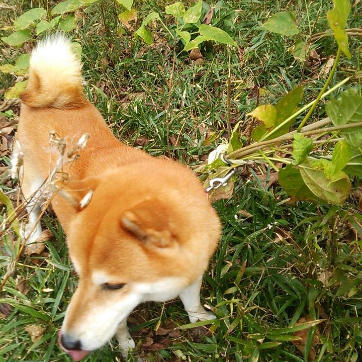 2fcab79a 7301 4d16 8afe 32f5b53620bf