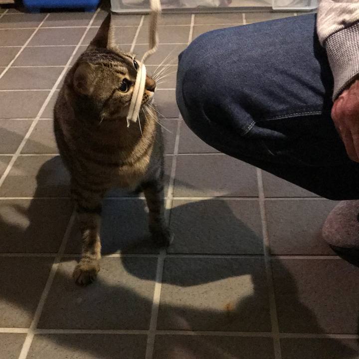 2fcae08c 9a66 42b7 8d27 51d02dc192d7