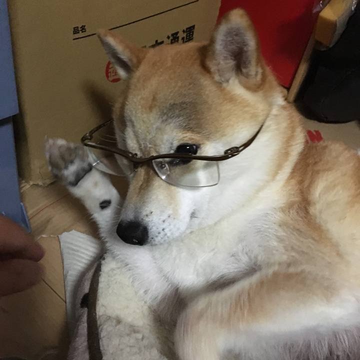 2fcafdc2 d5f0 49c3 a85b 4f229941f031