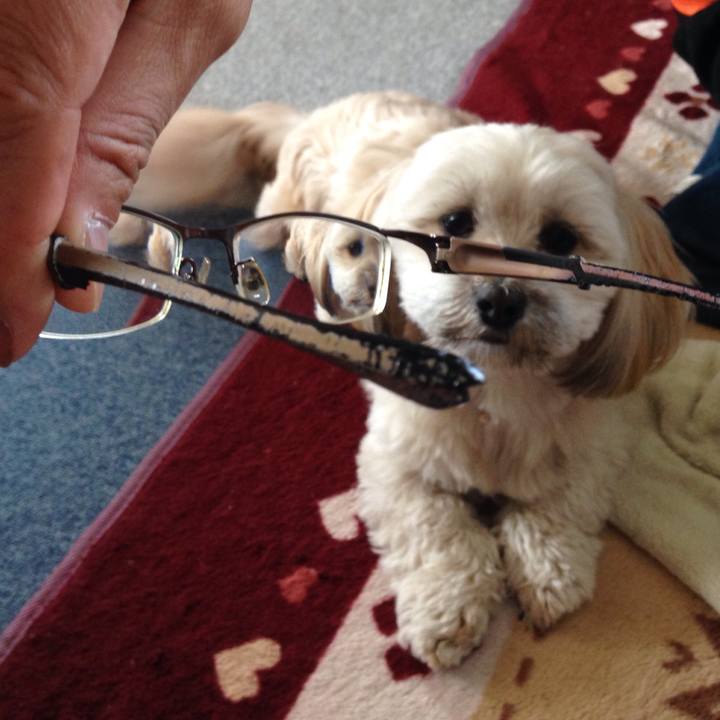 2fcb7d45 8cfe 4c5f 98c1 d75f9c851486