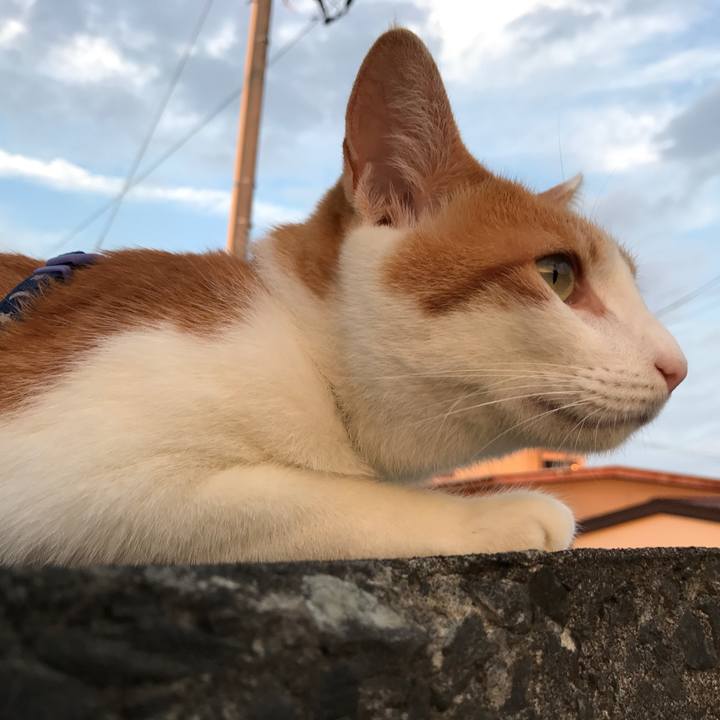 2fcbe75a 3977 4e8f 8a59 4c7c9c23eca4