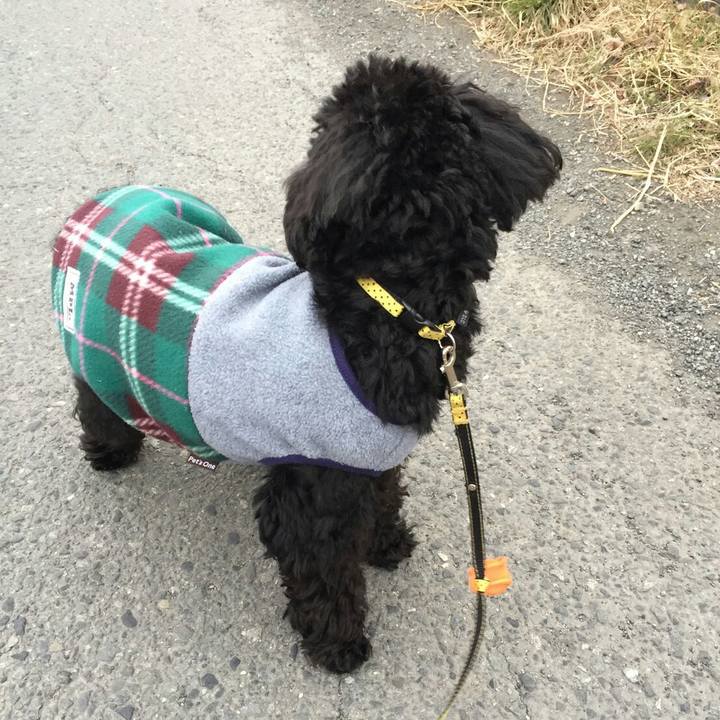 2fcc507a d255 4d7f a805 1cc288b6eae5