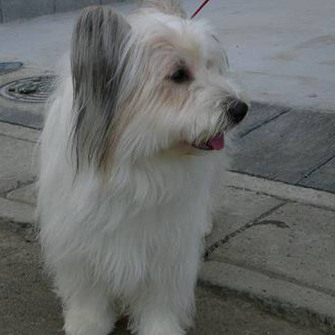 2fcc7678 a348 4ec0 a431 deea2df0e886