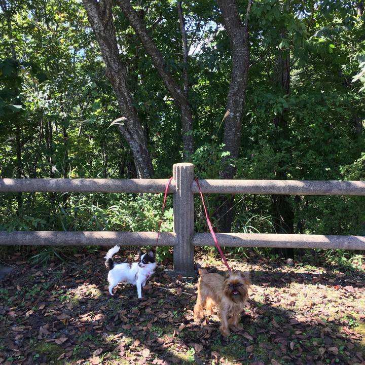 2fcc7c43 32e1 467b 9c46 df2f68191e63