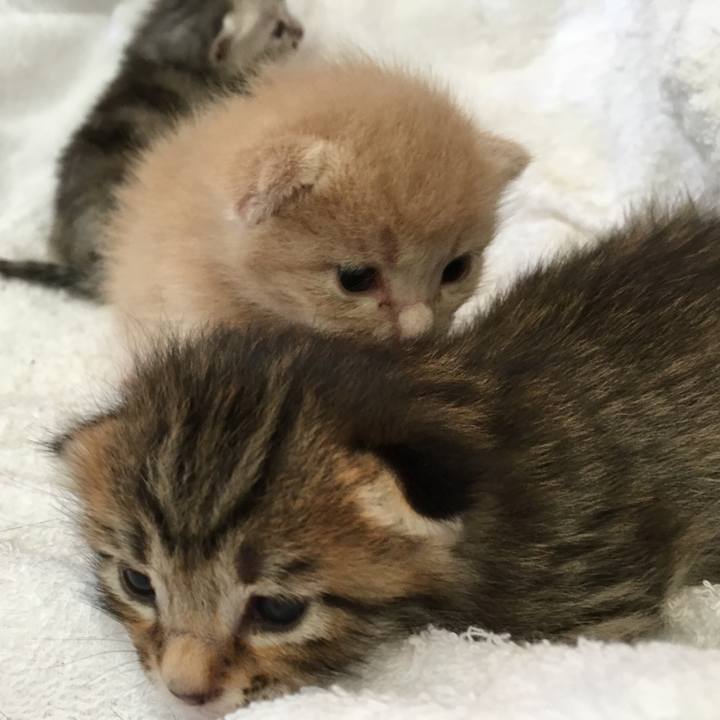 2fcc936a d33e 493c 9437 19929c0ec6c1