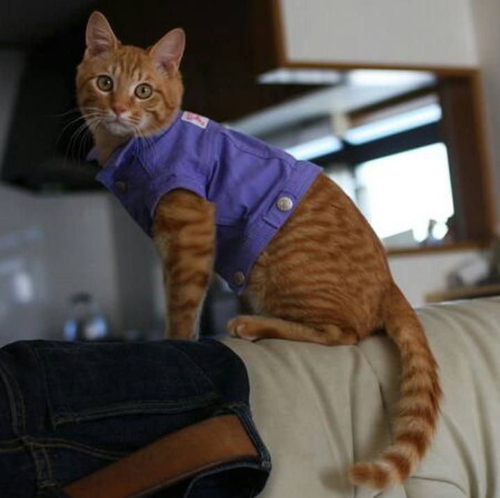 2fccdc1c 2025 41d6 8d70 ef93d5efc641