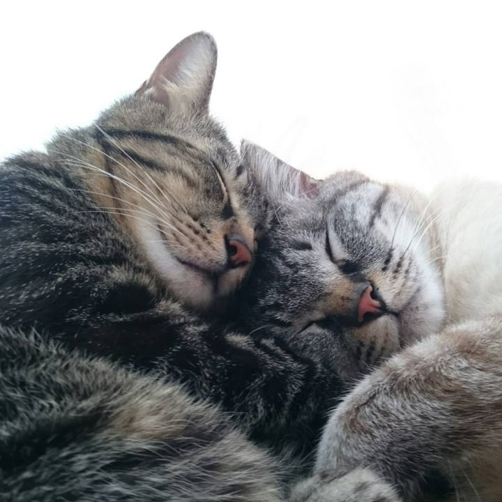 2fccfdac 8427 4969 842d fb31fe6094de