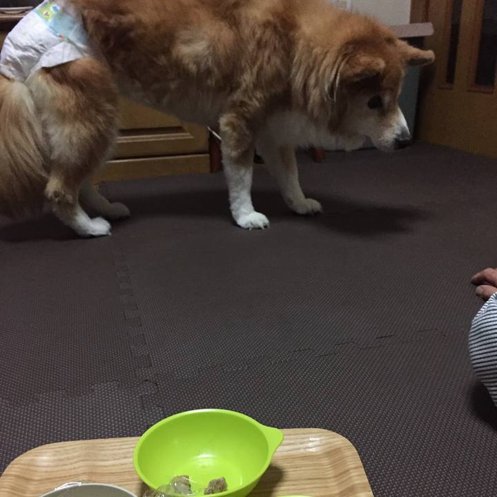 2fcde137 9757 4cb8 b5e8 7b4c42fedc4c