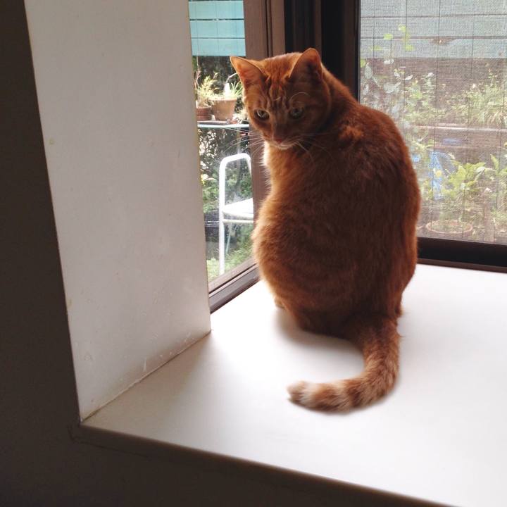 2fce14d2 2f9b 4c08 a56a 50da8190de00