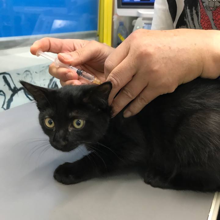 2fce1ae6 8b56 43bf 9cf6 528b3140cd42