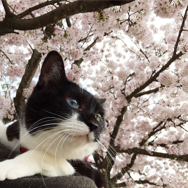 2fce1f25 0759 4546 b3f4 38243620de1c