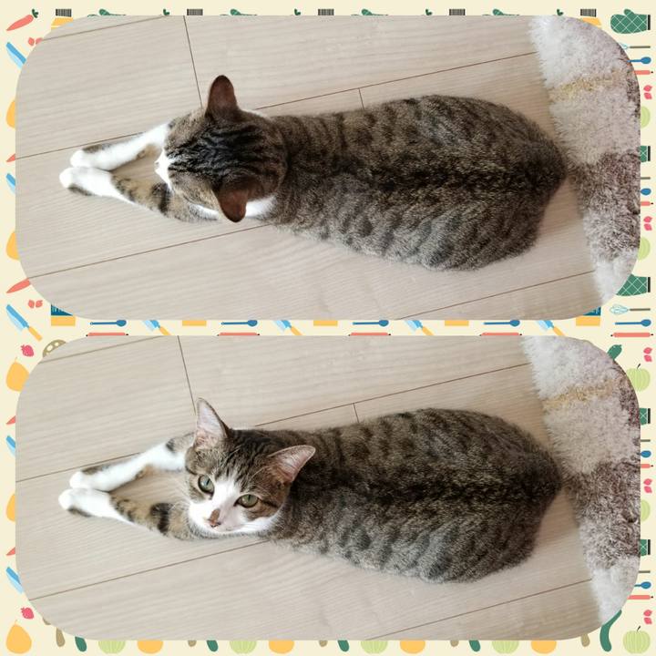 2fce2c38 5857 47fe b5b8 65455a829c86