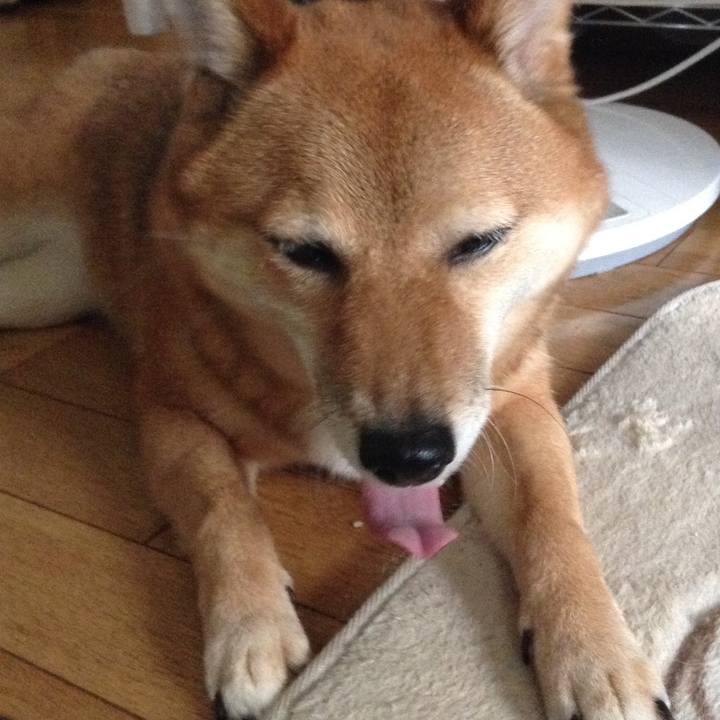 2fce502b 33b7 4c83 85d2 75d449501fdf