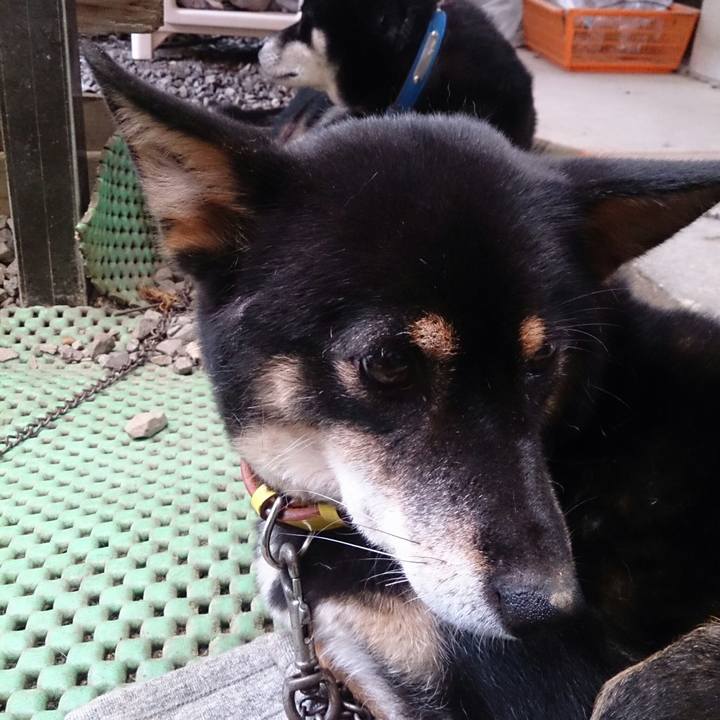 2fcebcc1 d3e5 4995 9aa7 a36857fa8597