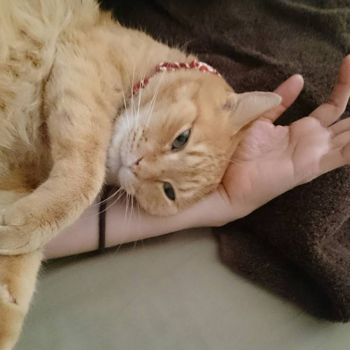 2fcef013 ba81 4043 832f d21e415368b7