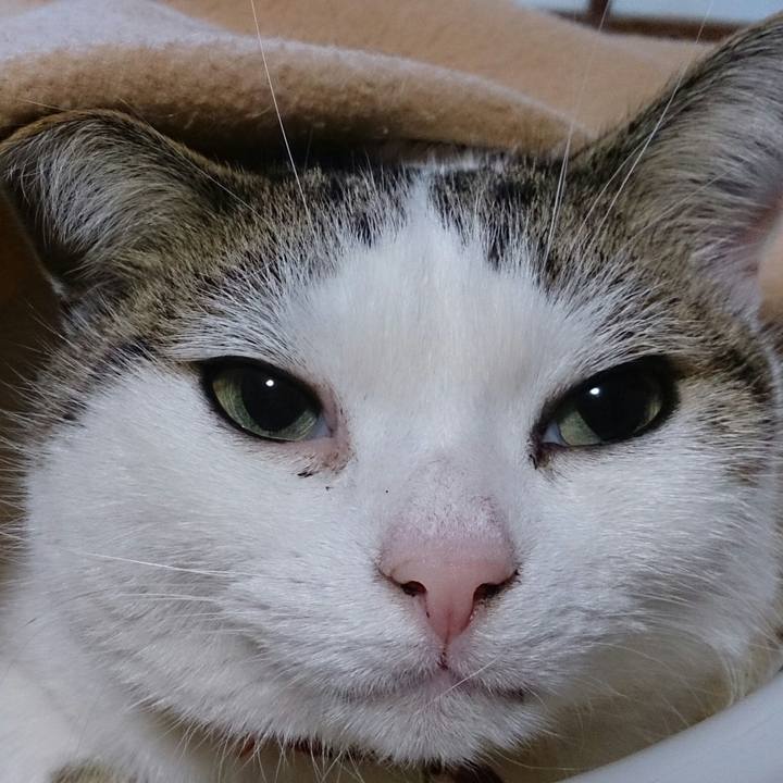 2fcefb4a 20ce 4160 ac05 a49166f7c425