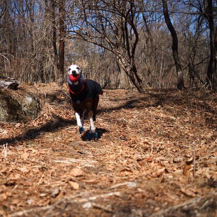 2fcf0673 222d 43c4 a12c c19f4de58a22