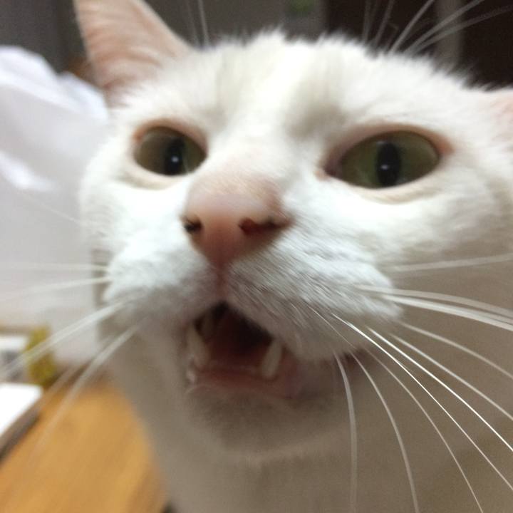 2fcf0b3d 7e6a 4862 9e42 f1162536a38a