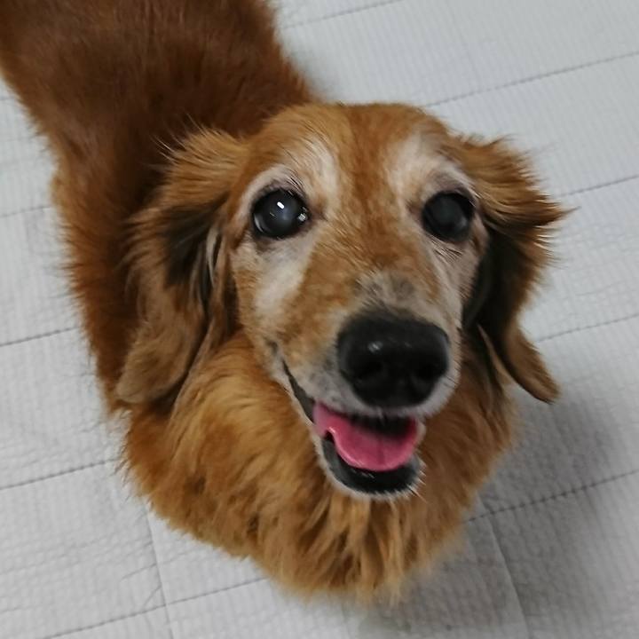 2fcf51f3 d366 4310 8db6 89b625e219df