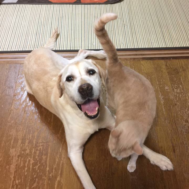 2fcf691f a06a 4e57 ad9d cd498f917364