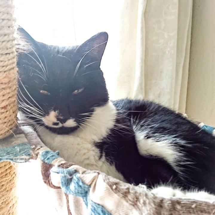 2fcf9598 5cee 4072 a2ed f7b7c76460cd