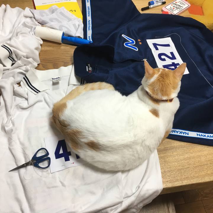 2fcfcb60 9376 4dff 83b7 92ad44831596