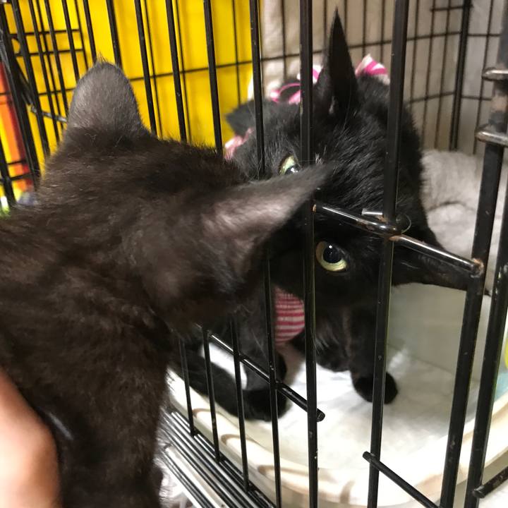 2fcfe048 cb34 4e40 8ada e1c368ab6b94