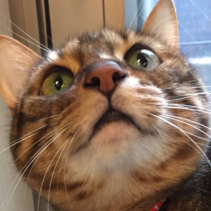 2fcfe342 c7a2 4e9b 9f44 f206697f84f9