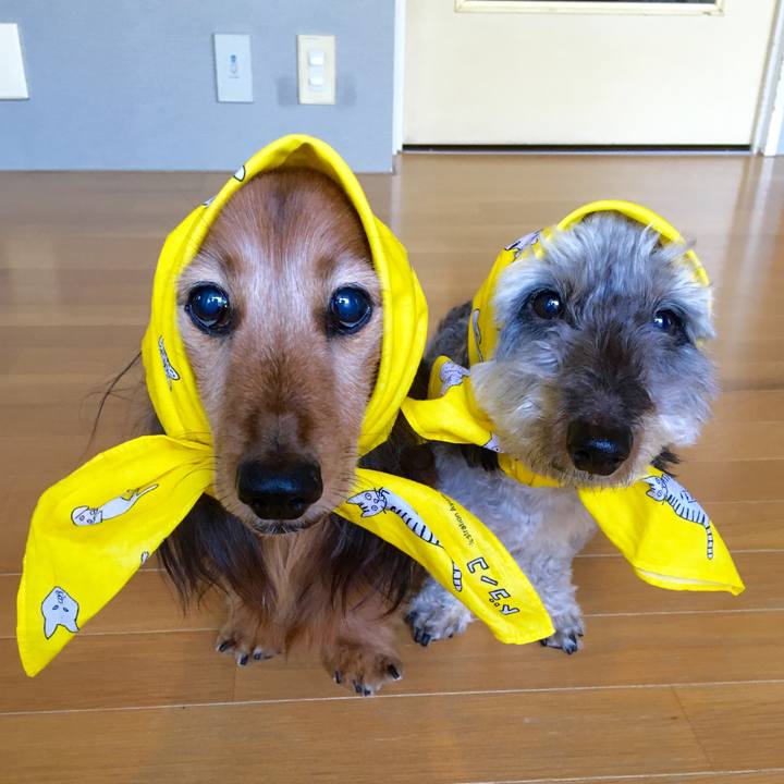 2fd00e21 5ca9 400b 9fb8 a16dada20e46