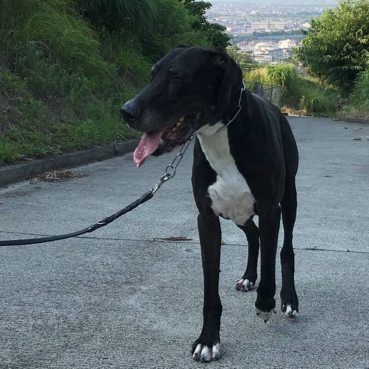 2fd0b30a 6f45 42f4 b5d9 e3a0132f1558