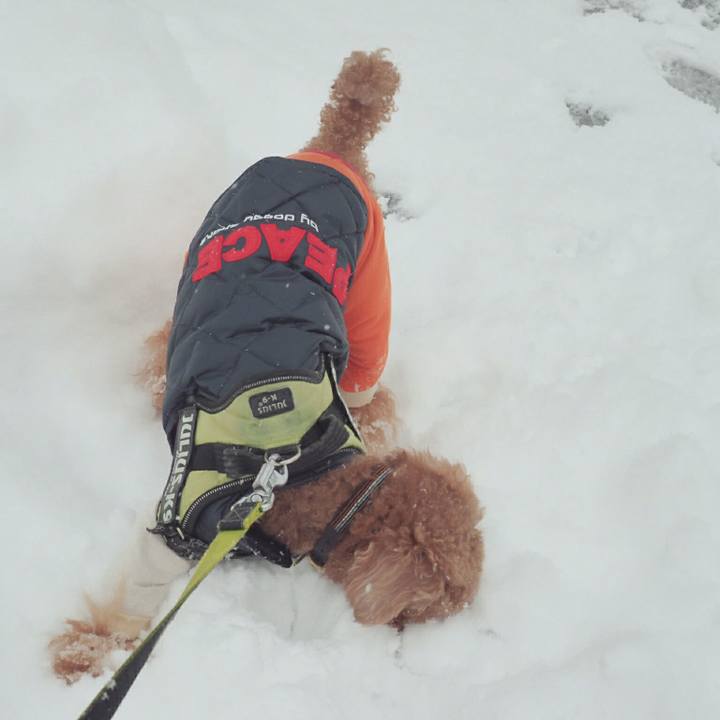 2fd0b7fc e2cb 43fd 9bef 7536b85391cd