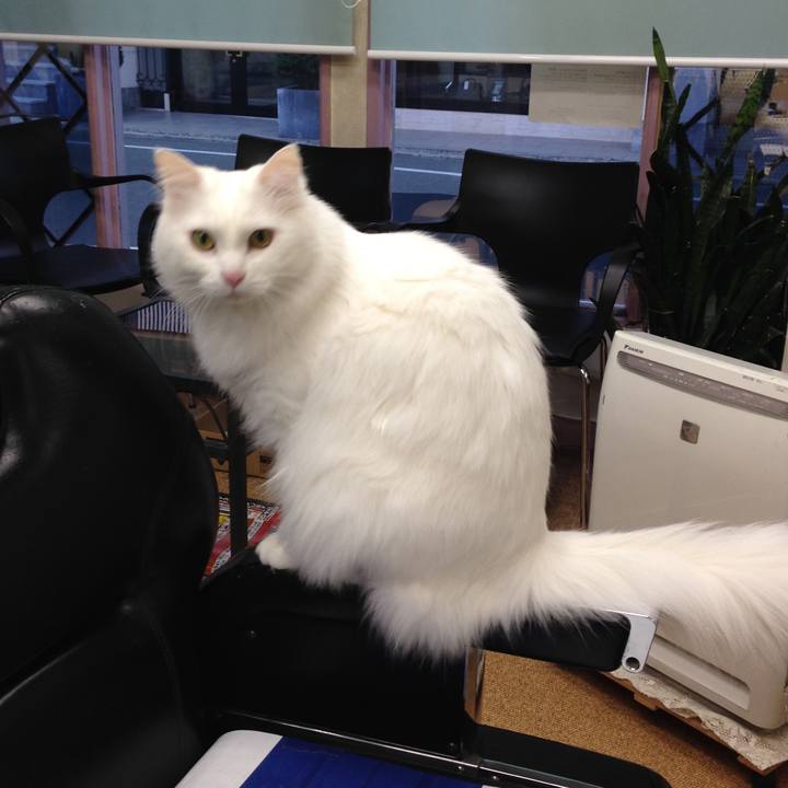 2fd0ea45 89ed 41e0 bf83 d07d834a5378