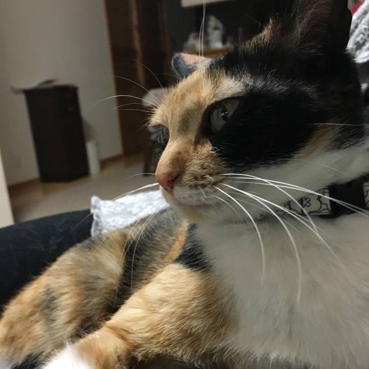 2fd1066c 87cc 4eb2 87a5 a8ca4b1397df