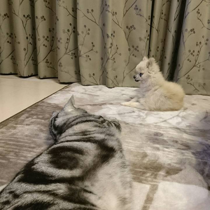 2fd1f4e5 9ca5 454a bdc3 7845f8c4c556