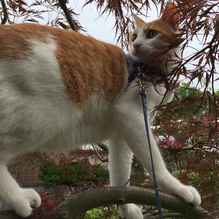 2fd2ae90 e4a6 4045 bd43 fe33f79b38c6