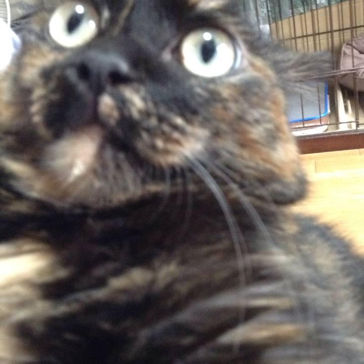 2fd2d4a5 44e5 46c0 a311 e2b29f886079