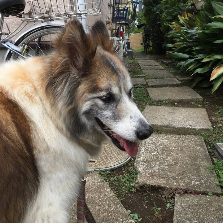 2fd384a3 8a83 444d 86b3 fbc3cde89088