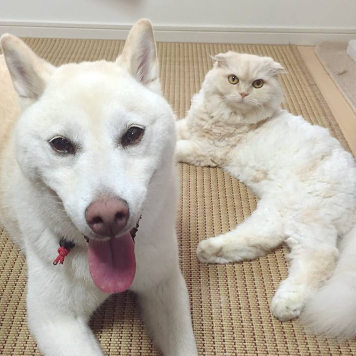 2fd38ba9 7931 4eae af87 7e8d4bbeafb6