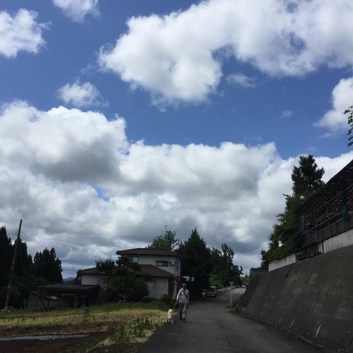 2fd38c72 deeb 4e35 9037 0bd95e856a09