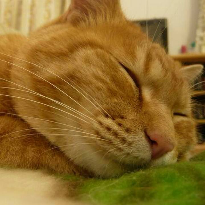 2fd3c349 a95a 4208 a44c b3ae5313aa0f