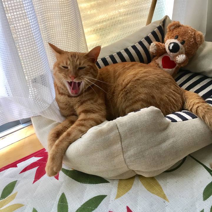 2fd420d0 03d8 4e75 abbc 180cdbc53bb1