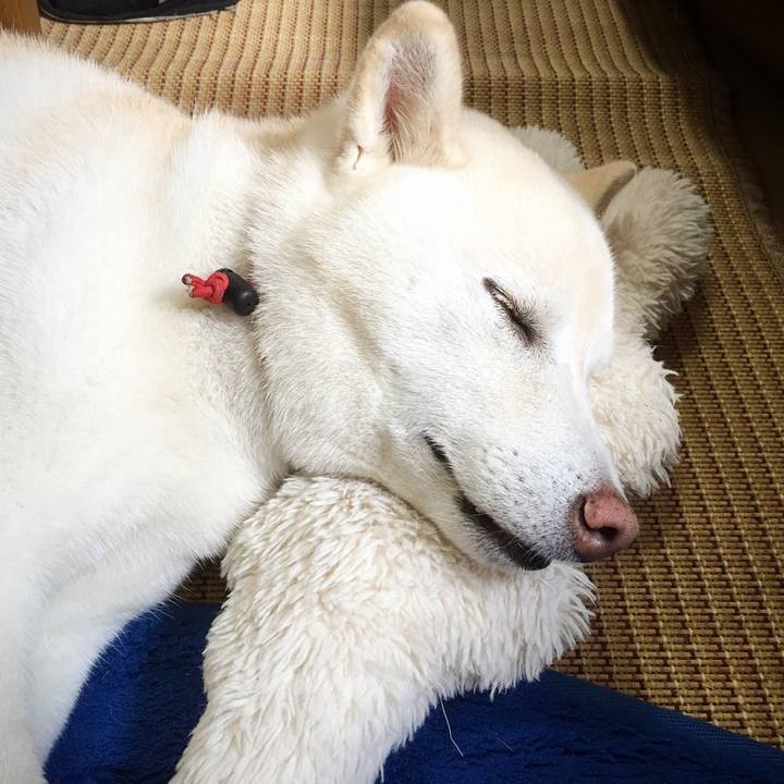 2fd4c2a0 6e9f 4df6 a76a 62f4e6fa7953