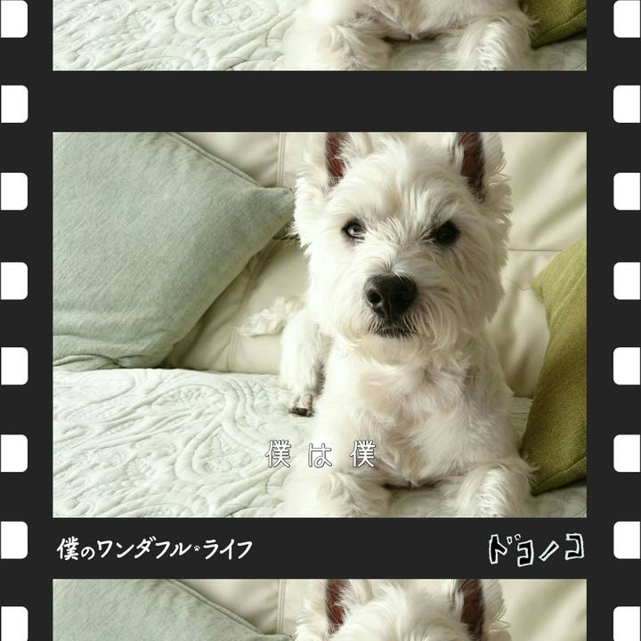 2fd52bf8 65be 4e40 a58b 9725fe666fcb