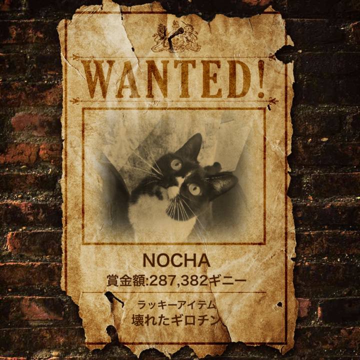 2fd5e105 5ef4 44ec 9bd1 270e63b9dfbb