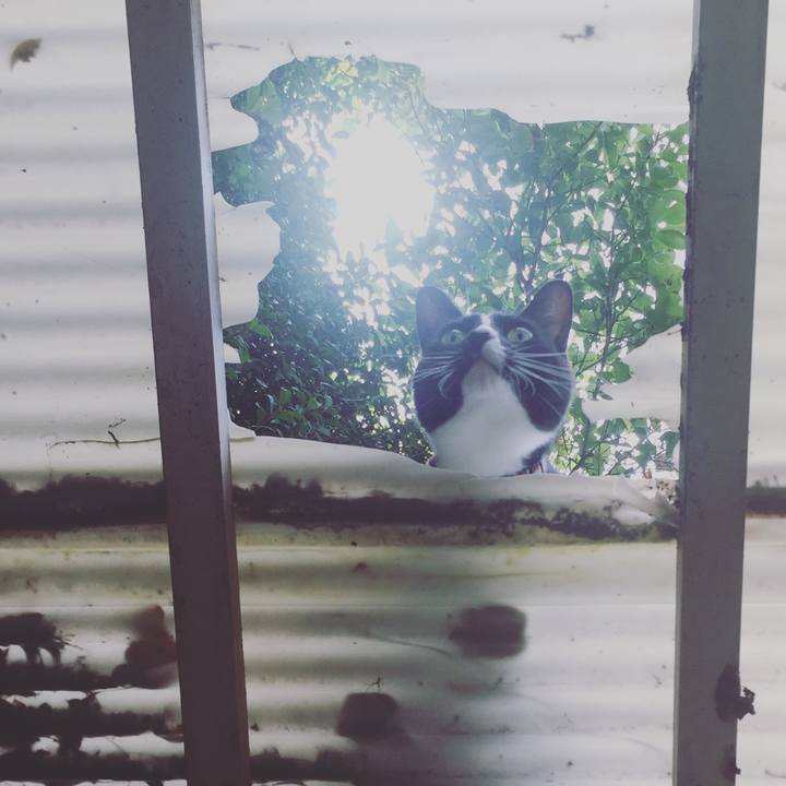 2fd67b80 c4c5 401d 9dfe 0d71482bd959