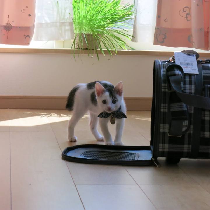 2fd81429 9624 47c2 856b baa208624c7e