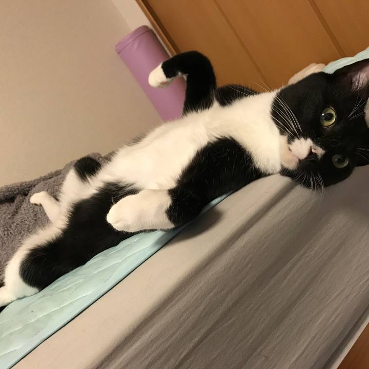 2fd91f9b bf6b 4cc4 8722 04231a072a35