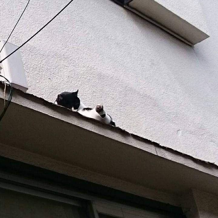 2fd923a2 11c5 4408 884b 5fa62e70e062