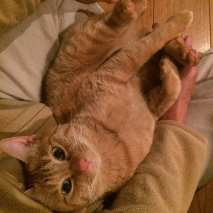 2fd93268 d187 4a33 a756 26c734108c81